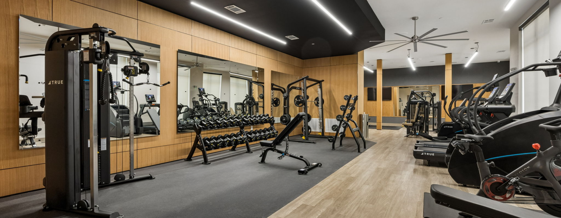 Pet-friendly apartments for rent in Plano, TX | The Holland